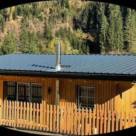 Landhaus Riesneralm Donnersbachwald Extérieur photo