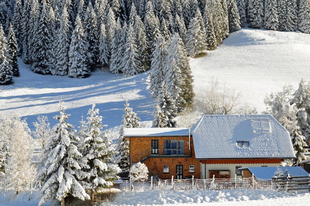 Landhaus Riesneralm Donnersbachwald Extérieur photo